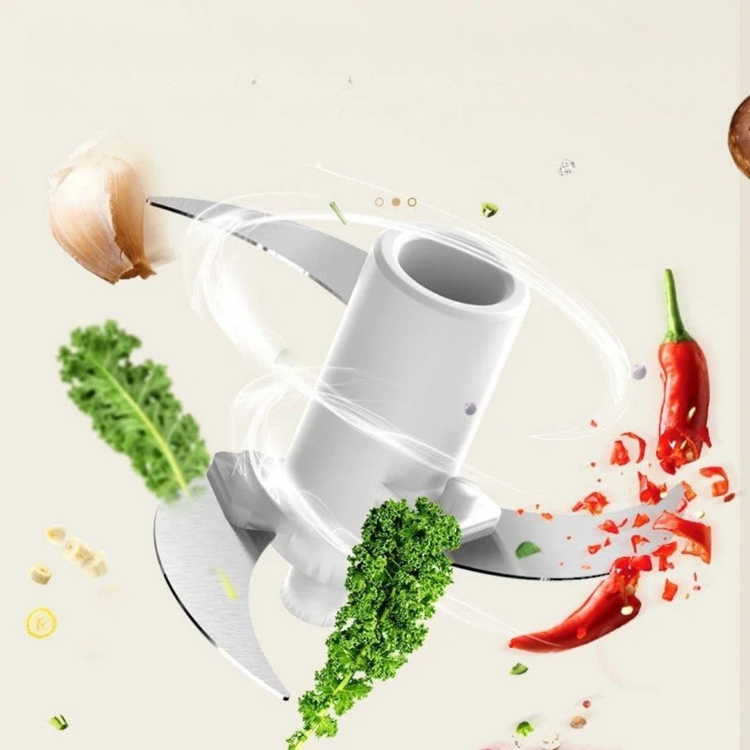 Hachoir Electrique a Viande Expert Mill Lames Acier Inoxydable