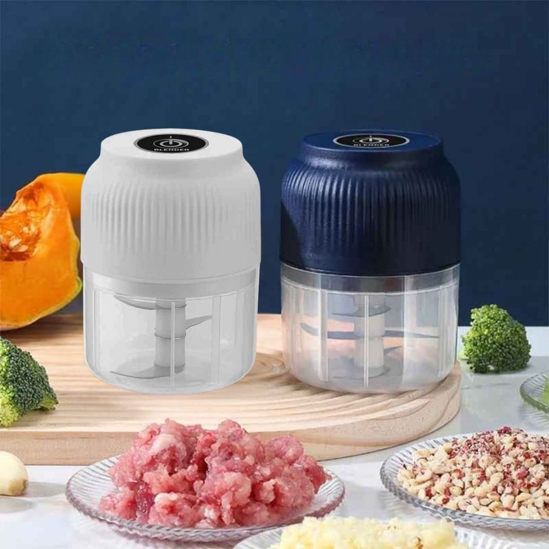 hachoir electrique saveur express polyvalent toutes recettes