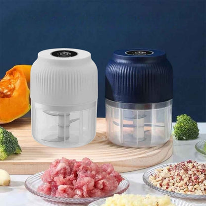 hachoir electrique saveur express polyvalent toutes recettes